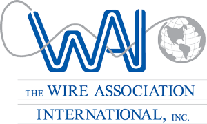 WAI Logo